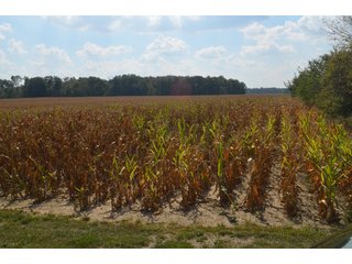 Property photo 11 - REAL ESTATE AUCTION - 604+/- ACRES IN 14 TRACTS IN MERCER CO., OHIO